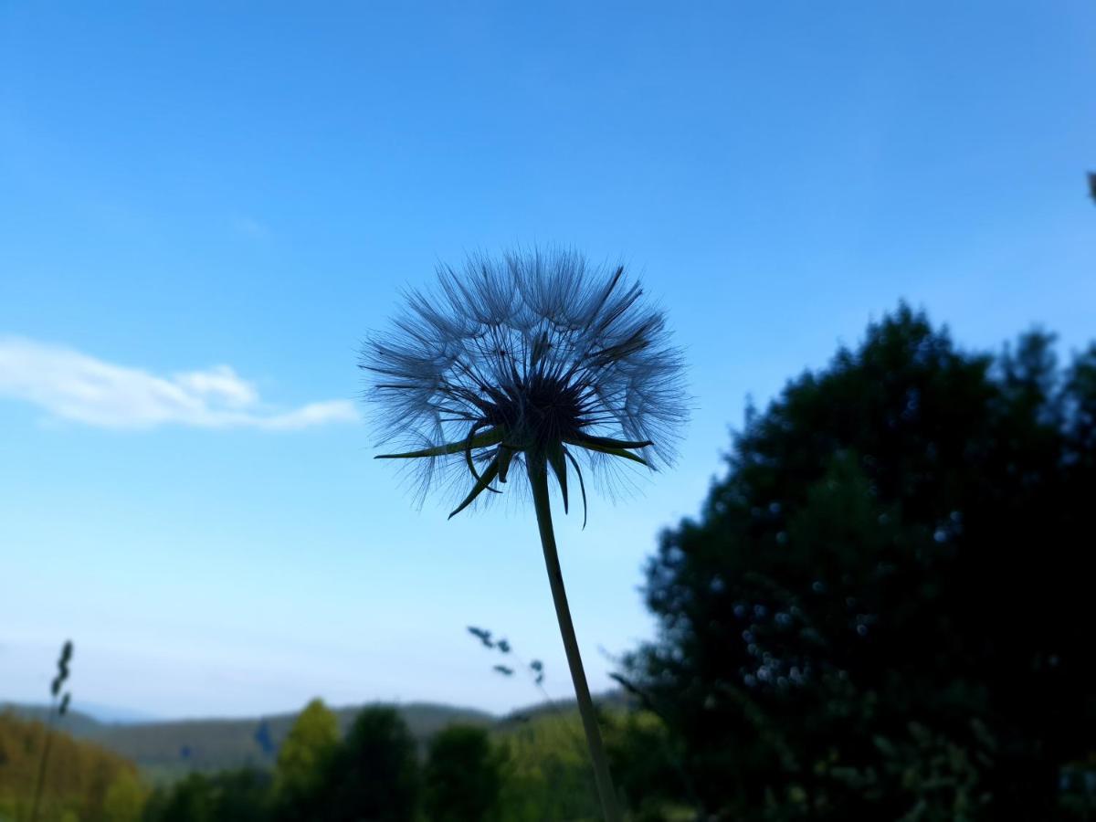 Domek Maly Czar Czarnow  Exteriér fotografie