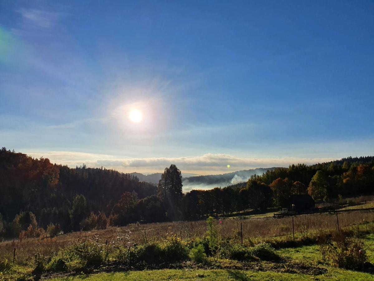 Domek Maly Czar Czarnow  Exteriér fotografie