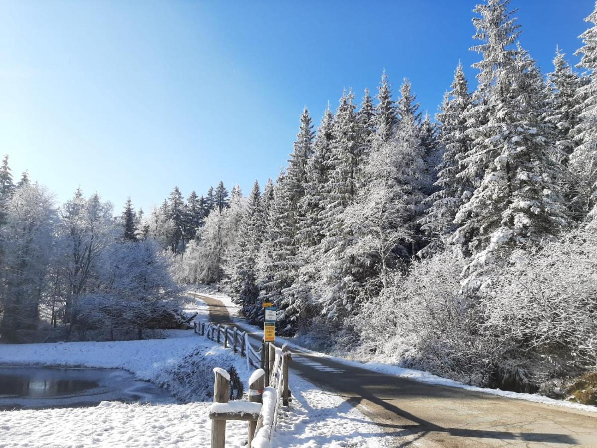 Domek Maly Czar Czarnow  Exteriér fotografie